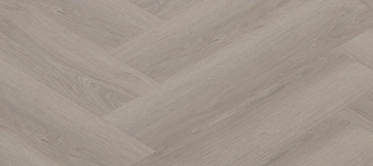 SPC Republic Lion - Image 3