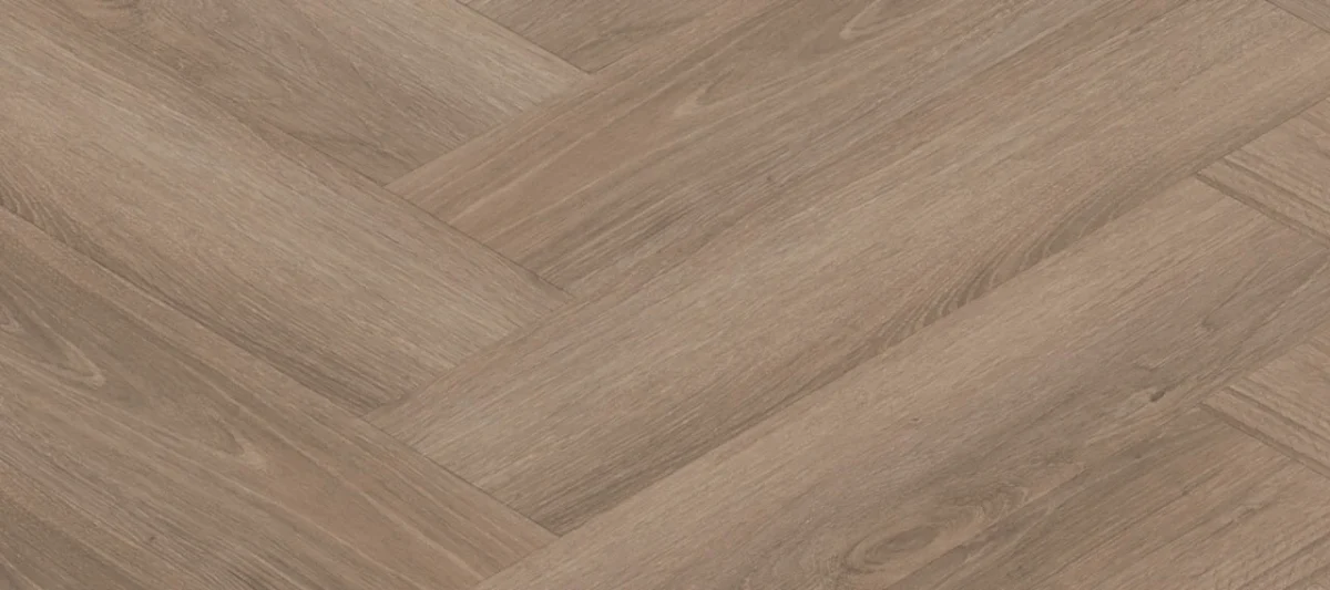 SPC Republic Lion - Image 5