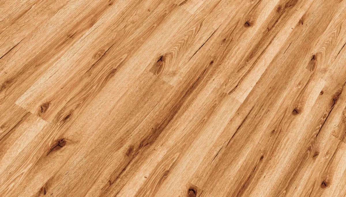 SPC Republic Tiger - Image 11