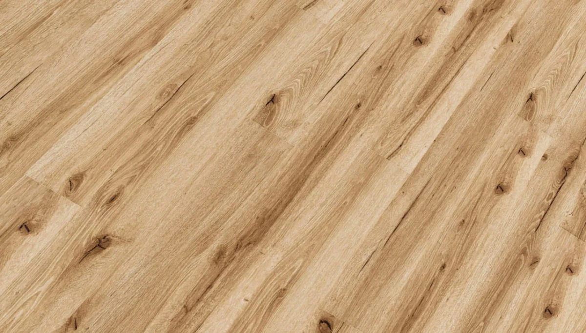 SPC Republic Tiger - Image 13