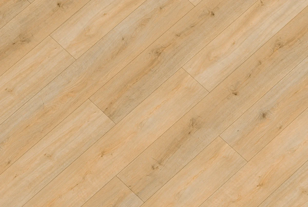 SPC Republic Tiger - Image 23