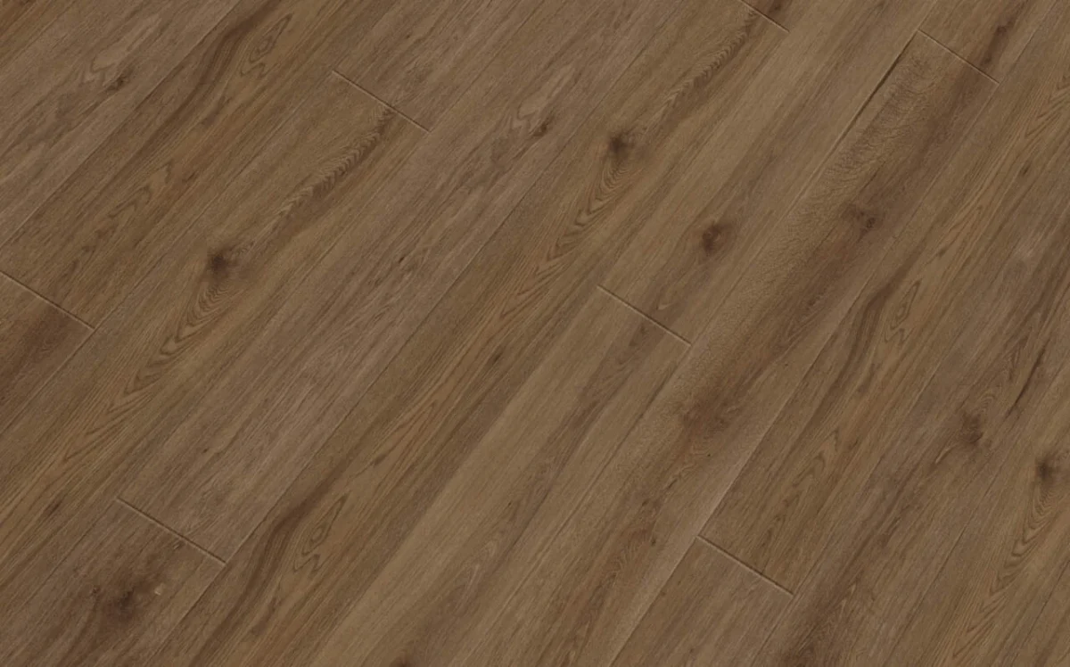 SPC Republic Wolf - Image 9