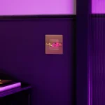 Slēdžu un rozetes kolekcija Buster + Punch - Image 4